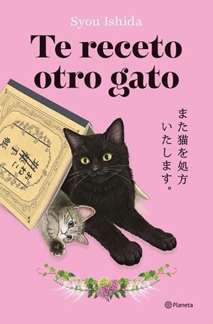 TE RECETO OTRO GATO | 9788408318705 | ISHIDA, SYOU | Llibreria Huch - Llibreria online de Berga 