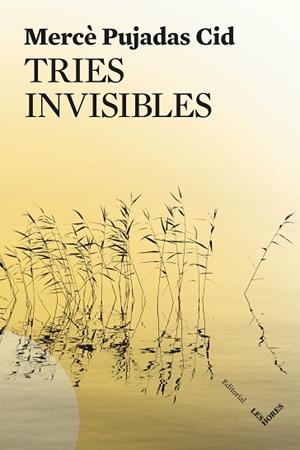 TRIES INVISIBLES | 9791399072150 | PUJADAS CID, MERCÈ | Llibreria Huch - Llibreria online de Berga 