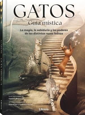 GATOS GUIA MISTICA | 9789464992007 | BELMONTE, FABIANA | Llibreria Huch - Llibreria online de Berga 