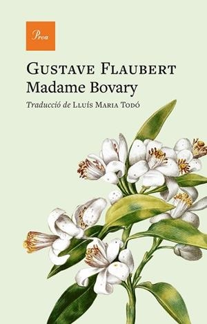 MADAME BOVARY | 9791388369070 | FLAUBERT, GUSTAVE | Llibreria Huch - Llibreria online de Berga 