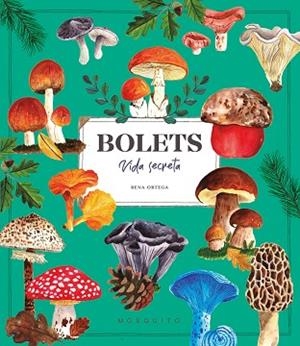 BOLETS. VIDA SECRETA | 9788410417687 | ORTEGA, RENA | Llibreria Huch - Llibreria online de Berga 