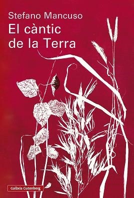 CÀNTIC DE LA TERRA, EL | 9791388019852 | MANCUSO, STEFANO | Llibreria Huch - Llibreria online de Berga 