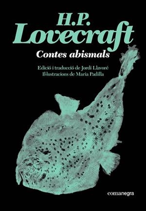 CONTES ABISMALS | 9791387969530 | LOVECRAFT, H. P. | Llibreria Huch - Llibreria online de Berga 