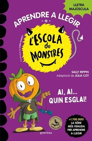 APRENDRE A LLEGIR A L'ESCOLA DE MONSTRES 25 - AI, AI... QUIN ESGLAI! | 9791387809836 | RIPPIN, SALLY | Llibreria Huch - Llibreria online de Berga 