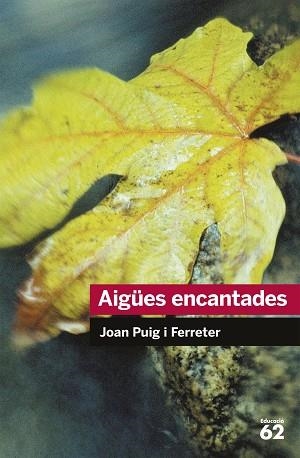 AIGÜES ENCANTADES | 9788492672431 | PUIG I FERRETER, JOAN | Llibreria Huch - Llibreria online de Berga 