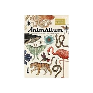 ANIMALIUM | 9788415315223 | BROOM, JENNY - SCOTT, KATIE | Llibreria Huch - Llibreria online de Berga 