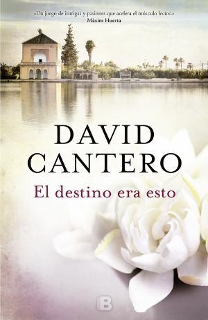 EL DESTINO ERA ESTO | 9788466660068 | CANTERO, DAVID F. (1961-) [VER TITULOS] | Llibreria Huch - Llibreria online de Berga 