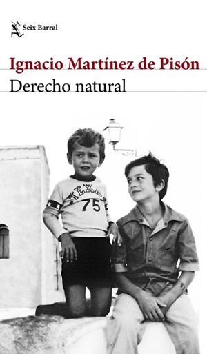 DERECHO NATURAL | 9788432232220 | MARTINEZ DE PISON, IGNACIO | Llibreria Huch - Llibreria online de Berga 