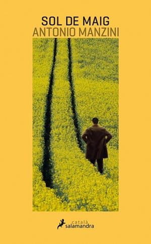 SOL DE MAIG | 9788416310227 | MANZINI, ANTONIO | Llibreria Huch - Llibreria online de Berga 