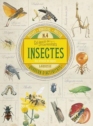 INSECTES QUADERN D'ACTIVITATS | 9788416641734 | ESTANY I MORROS, IMMA ; TR. [VER TITULOS] | Llibreria Huch - Llibreria online de Berga 