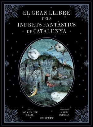 GRAN LLIBRE DELS INDRETS FANTÀSTICS DE CATALUNYA, EL | 9788417188344 | PRATS PIJOAN, JOAN DE DÉU | Llibreria Huch - Llibreria online de Berga 