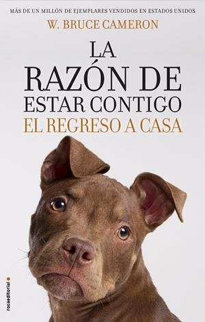 RAZÓN DE ESTAR CONTIGO. EL REGRESO A CASA | 9788417092887 | CAMERON, W. BRUCE | Llibreria Huch - Llibreria online de Berga 