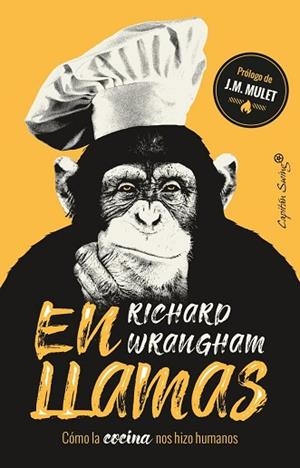 EN LLAMAS | 9788494966873 | WRANGHAM, RICHARD | Llibreria Huch - Llibreria online de Berga 