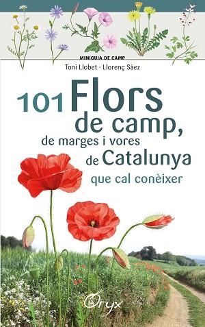 101 FLORS DE CAMP, DE MARGES I VORES DE CATALUNYA | 9788490348413 | LLOBET FRANÇOIS , TONI/SÀEZ GOÑALONS , LLORENÇ | Llibreria Huch - Llibreria online de Berga 