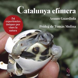 CATALUNYA EFÍMERA | 9788494928147 | GUARDIOLA, ASSUM | Llibreria Huch - Llibreria online de Berga 