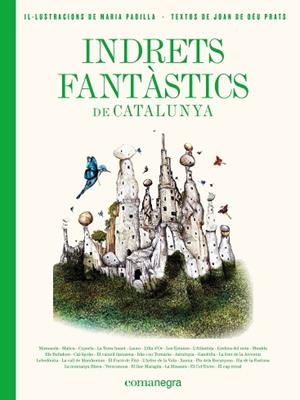 INDRETS FANTÀSTICS DE CATALUNYA | 9788417188986 | PRATS PIJOAN, JOAN DE DÉU/PADILLA CLIMENT, MARIA | Llibreria Huch - Llibreria online de Berga 