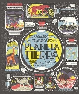 PLANETA TIERRA | 9788417651794 | IGNOTOFSKY, RACHEL | Llibreria Huch - Llibreria online de Berga 