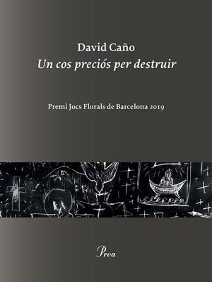 UN COS PRECIÓS PER DESTRUIR | 9788475887999 | CAÑO, DAVID | Llibreria Huch - Llibreria online de Berga 
