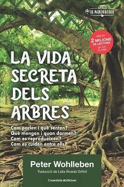 VIDA SECRETA DELS ARBRES, LA | 9788490348901 | WOHLLEBEN, PETER | Llibreria Huch - Llibreria online de Berga 
