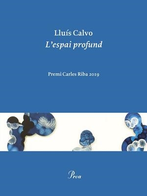 ESPAI PROFUND, L' | 9788475888248 | CALVO, LLUÍS | Llibreria Huch - Llibreria online de Berga 